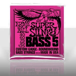 ERNIE BALL PO 2824 5 TELLİ BASS GİTAR TEL TAKIMI