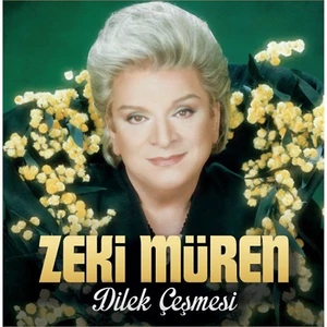 Zeki Müren - Dilek Çeşmesi (Plak)