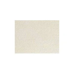 Alex Schoeller Monte Carlo Resim Kağıdı 56 X 76 300 Gr-25'Li