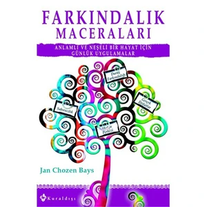 Farkındalık Maceraları - Jan Chozen Bays