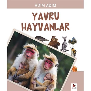 Adım Adım- Yavru Hayvanlar-Fiametta Dogi
