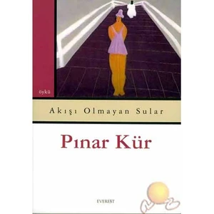 Akışı Olmayan Sular - Pınar Kür