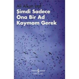 Şimdi Sadece Ona Bir Ad Koymam Gerek - Ali Alkan İnal