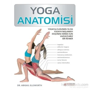 Yoga Anatomisi - Abigail Ellsworth