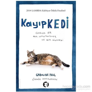 Kayıp Kedi-Wendy Macnaughton