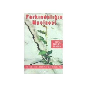 Farkındalığın Mucizesi