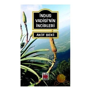 İNDUS VADİSİ'NİN İNCİRLERİ