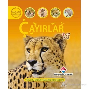 Yaşam Döngüsü: Çayırlar - (Yeryüzü Ekosistemlerini Keşfedelim)