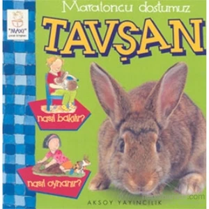 Maratoncu Dostumuz Tavşan Nasıl Bakılır? Nasıl Oynanır? - Christine Morley