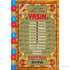 41 Yasin (Orta Boy - Kod: 010) (Fihristli)