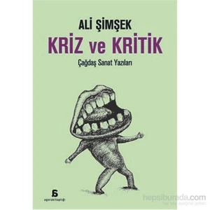 Kriz Ve Kritik-Ali Şimşek