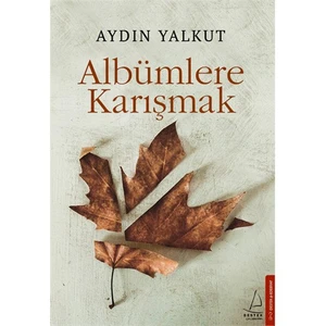 Albümlere Karışmak - Aydın Yalkut