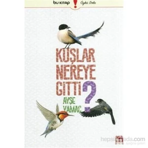 Kuşlar Nereye Gitti-Ayşe Yamaç