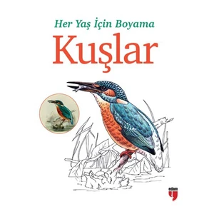 Her Yaş İçin Boyama: Kuşlar