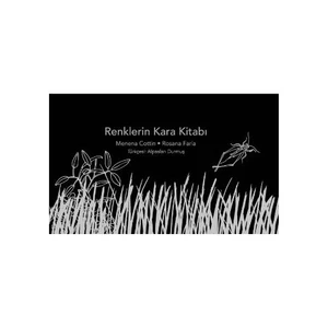 Renklerin Kara Kitabı