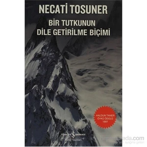 Bir Tutkunun Dile Getirilme Biçimi - Necati Tosuner
