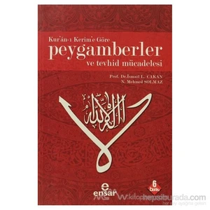 Kur''an-I Kerim''e Göre Peygamberler Ve Tevhid Mücadelesi - N. Mehmet Solmaz