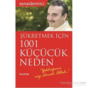 Şükretmek İçin 1001 Küçücük Neden-Senai Demirci