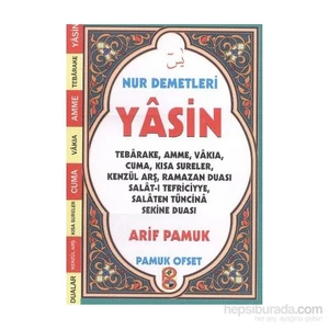 Nur Demetleri Yasin-Null