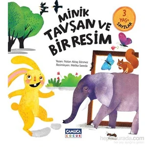 Minik Tavşan Ve Bir Resim Sayılar-Nalan Aktaş Sönmez