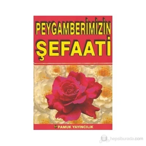 Peygamberimizin Şefaati (Peybamberler-008/P9)