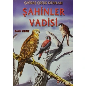 Şahinler Vadisi