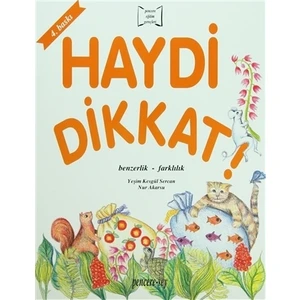 Haydi Dikkat Benzerlik - Farklılık