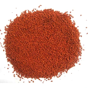 Discus 500 Gr