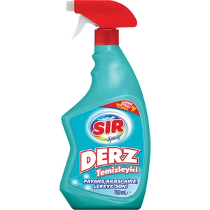 Derz Temizleyici 750 ml