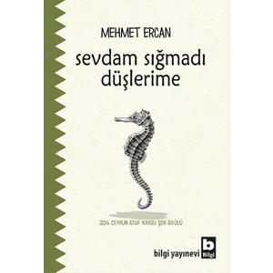 Sevdam Sığmadı Düşlerime - Mehmet Ercan