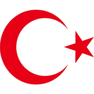 Türk Bayrağı Oto Sticker - 10x8 cm