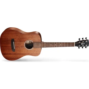 Akustik Gitar Çantalı