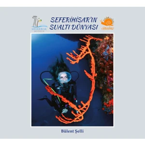 Seferihisar’In Sualtı Dünyası