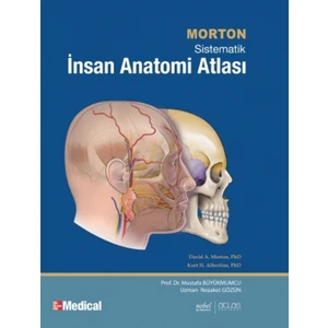 Morton - İnsan Anatomi Atlası - Human Anatomy