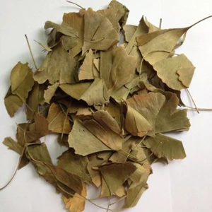 İpek Naturel Ginko Biloba Yaprağı  -Gingo