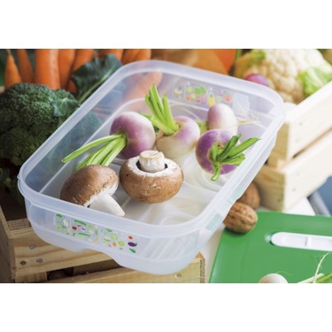 Tupperware Sera Dikdörtgen 1.8 litre Fiyatı - Taksit Seçenekleri
