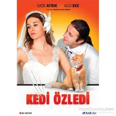 Kedi Özledi