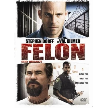 Felon (Suç