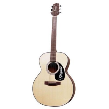 takamine g series 220