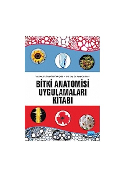 Bitki Anatomisi ve Uygulamaları Kitabıı - İlkay Öztürk Çalı