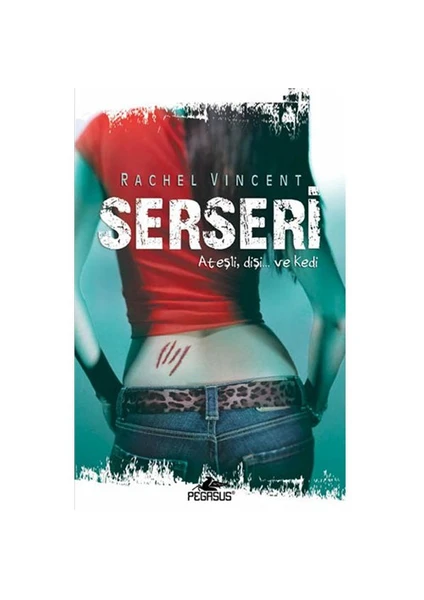 Dönüşüm Serisi 1:Serseri - Rachel Vincent