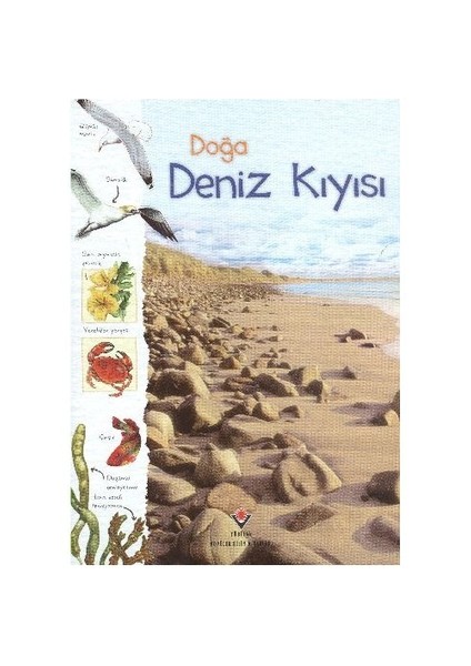 Doğa: Deniz Kıyısı - Conrad Mason