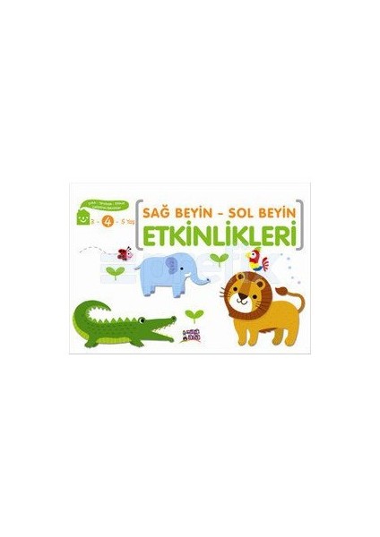 Sağ Beyin Sol Beyin Etkinlikleri 4 Yaş - Elif Konar