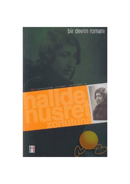 Bir Devrin Romanı