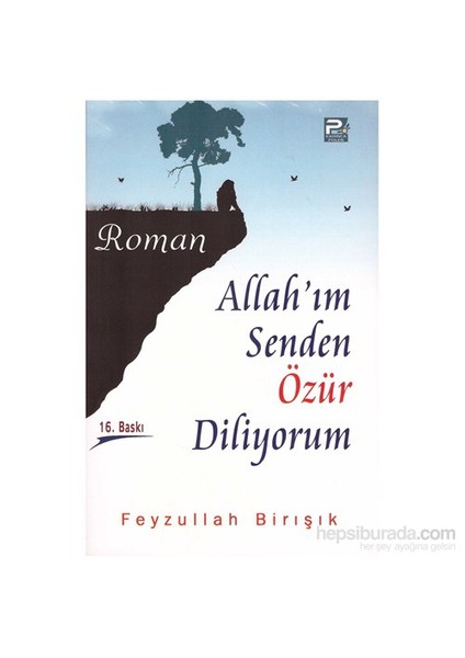 Allah’Im Senden Özür Diliyorum-Feyzullah Birışık