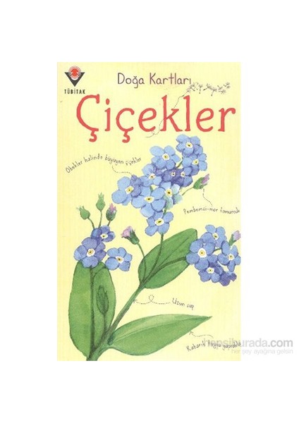 Doğa Kartları Çiçekler - Emily Bon