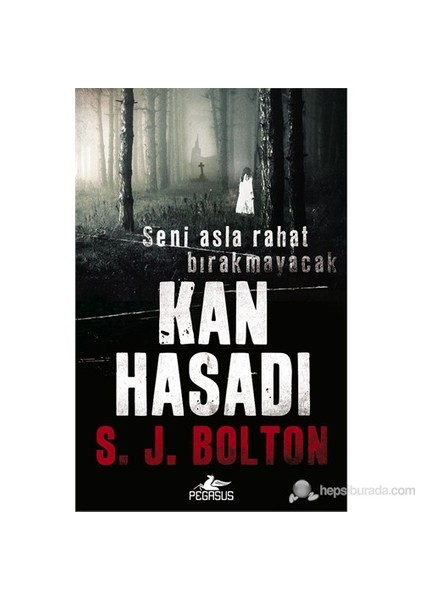 Kan Hasadı - S. J. Bolton