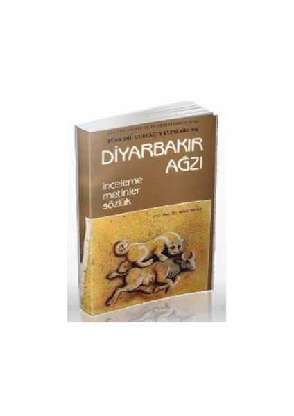 Diyarbakır Ağzı