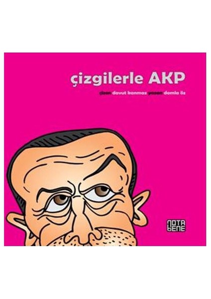 Çizgilerle AKP - Damla Öz