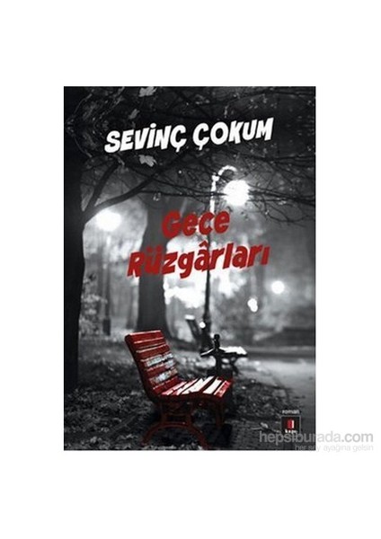 Gece Rüzgarları - Sevinç Çokum